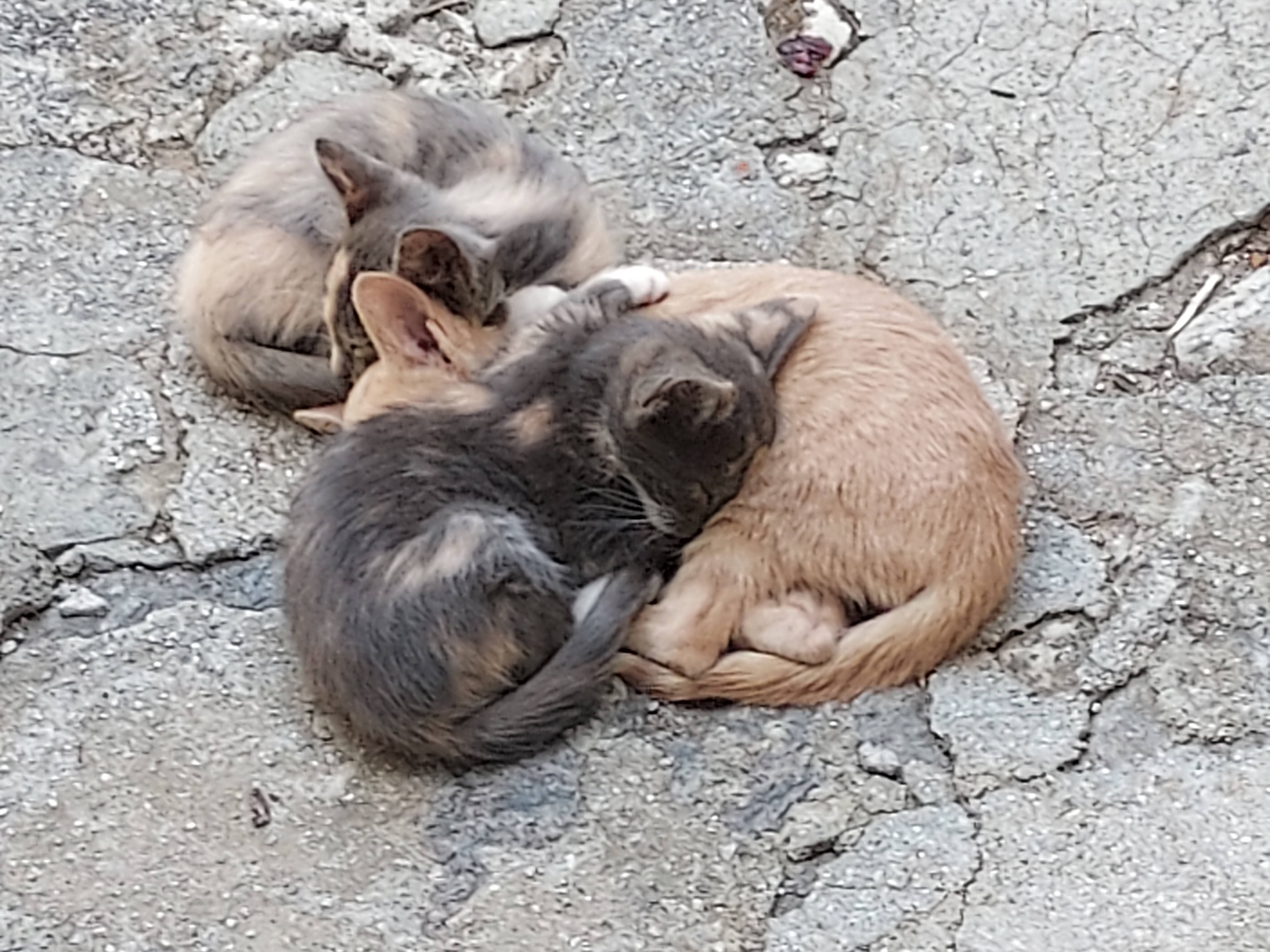 Greece 1
